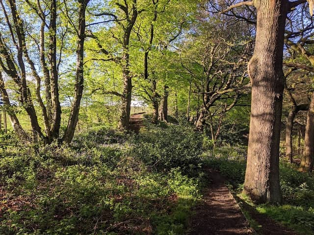 Hopwood Clough - Image 2