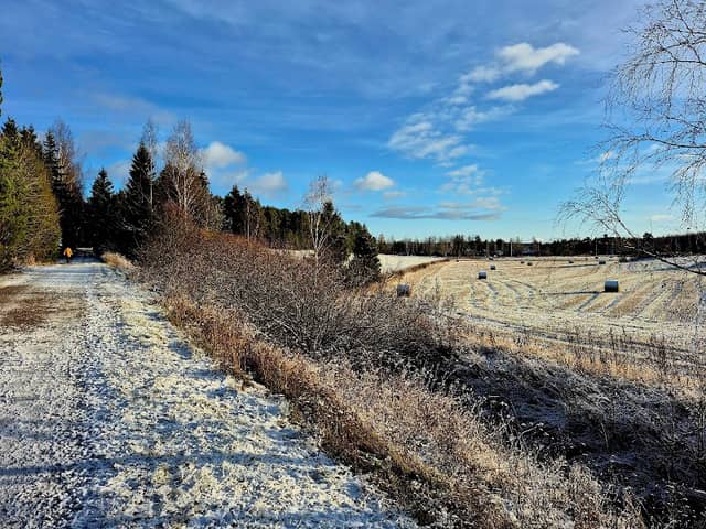 Rauhannummen puisto - Image 1