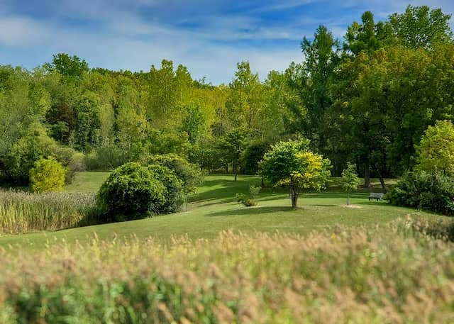 Barry Park - Image 2