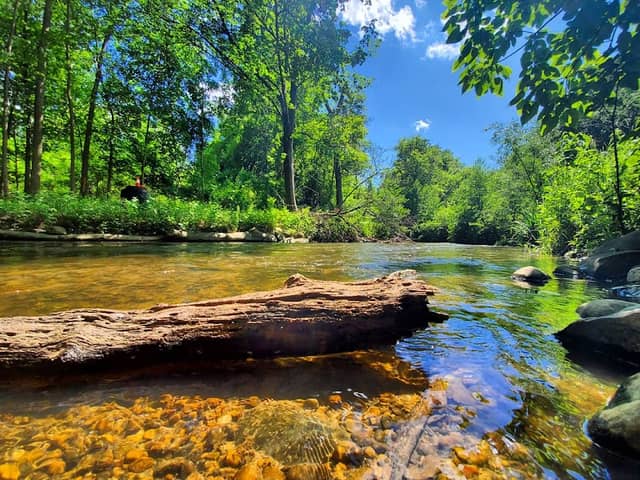 Linden Park - Image 2