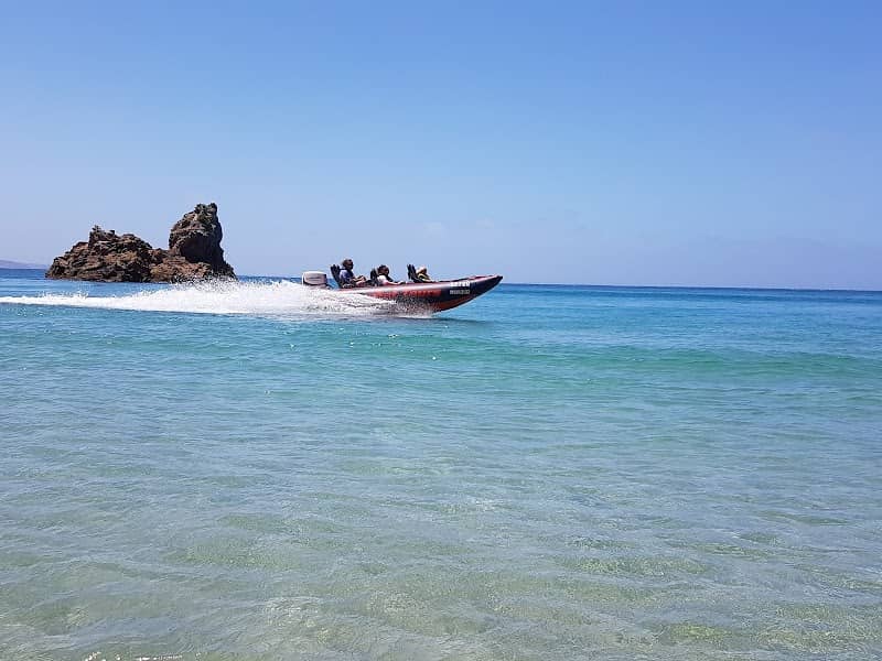 Phillip Island Thundercat Tours - Image 1