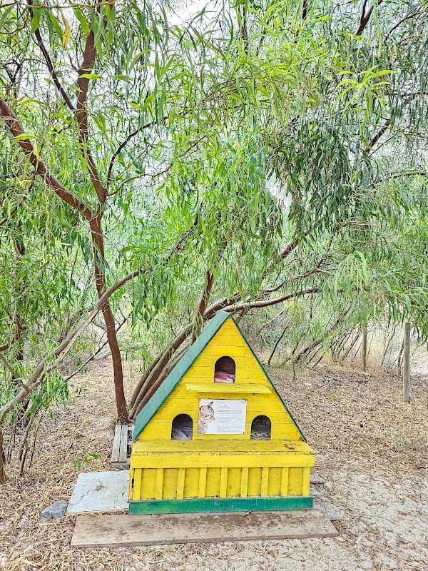 Cats House - Image 2