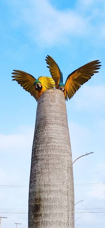 Três Lagoas - Image 1