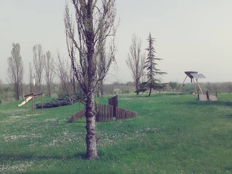 Area Verde Monica Bassan - Image 1