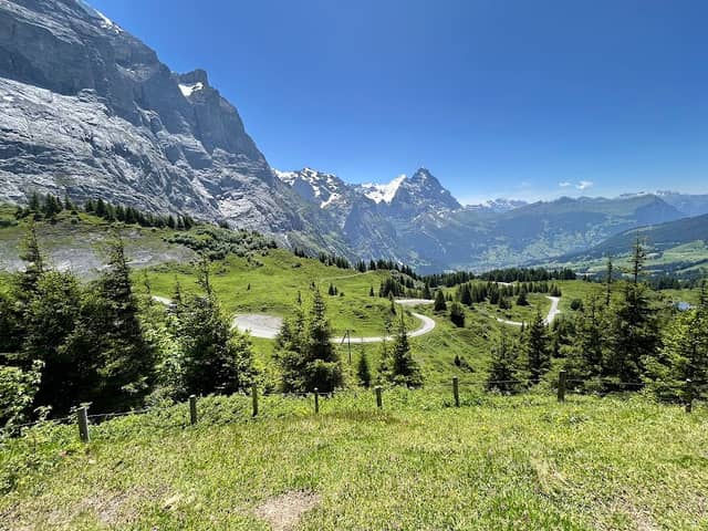 Schlittelweg_ Schwarzwaldalp - Gr. Scheidegg - Image 1