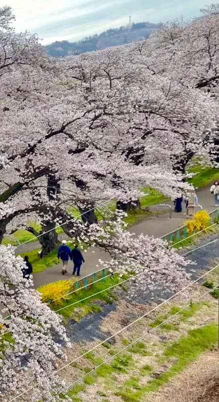 Hekurizawa - Image 1