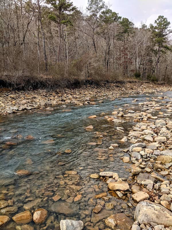 Cucumber Creek - Image 2