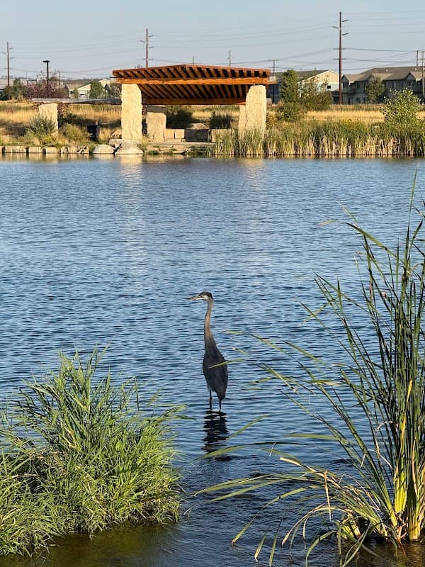 Shiloh Conservation Area - Image 2