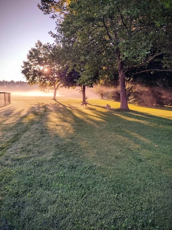 Harold Black Park - Image 2