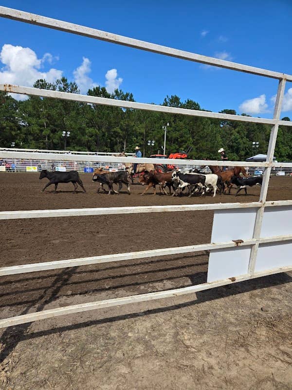 Moncks Corner Pro Rodeo - Image 2