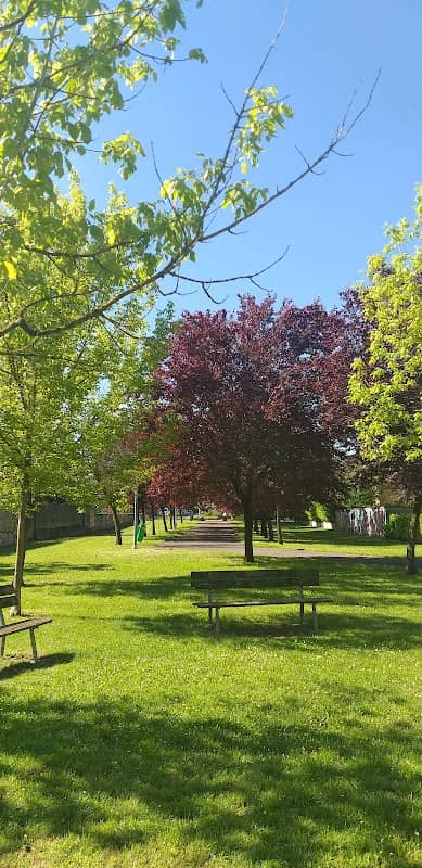 Parco - Image 1