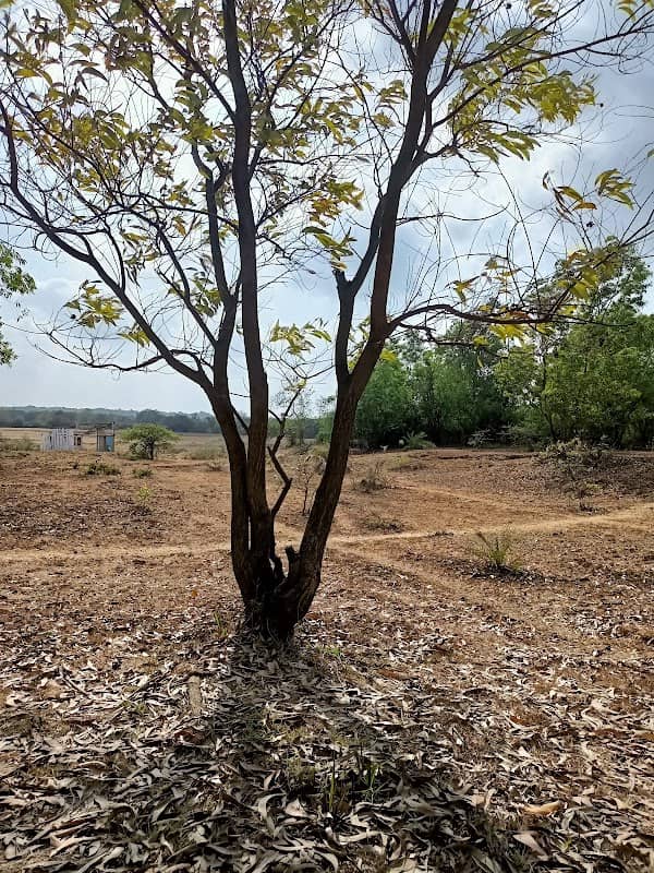 Engineer's Den - Image 1