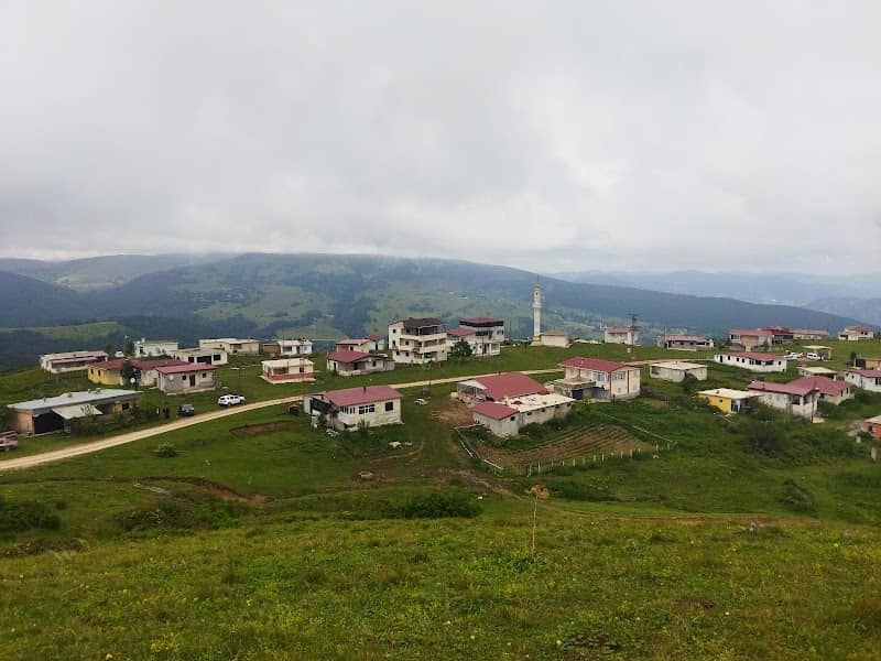 Güvendikköyü Yaylasi - Image 1