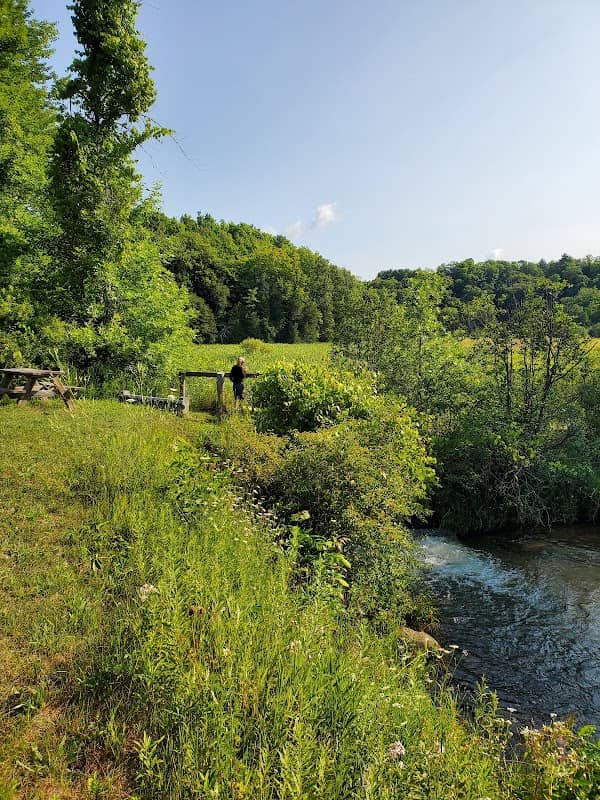 Marshville Dam Park - Image 1
