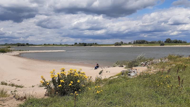 Winssense Waard - Image 1