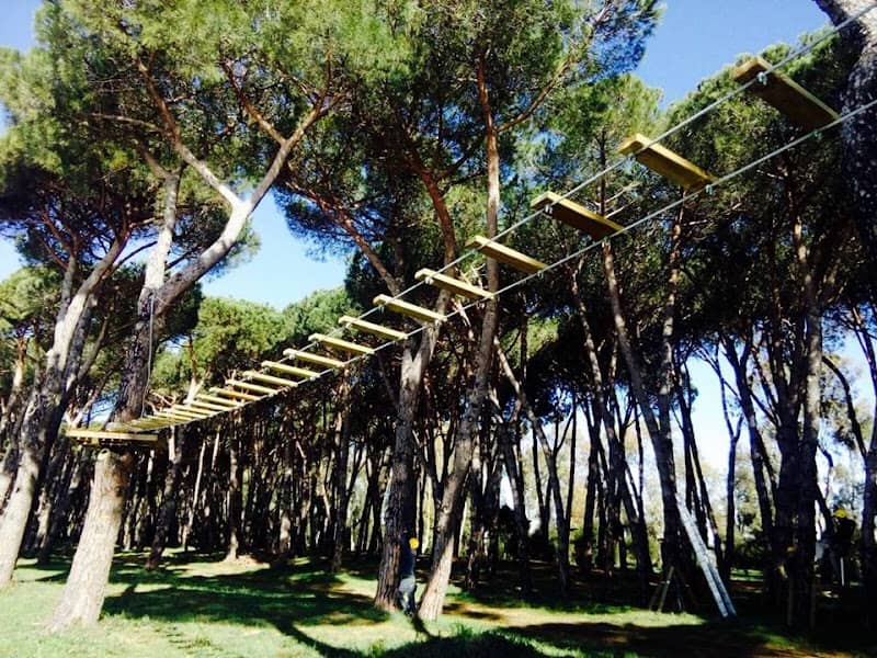 Parco Avventura Fregene - Image 1