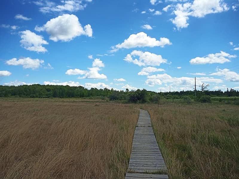 Cameron Ranch Walking Trail - Image 1