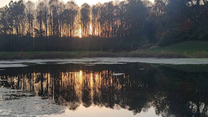 Scott's Pond - Image 1