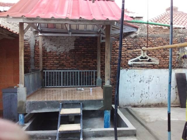 Kolam wapiman - Image 2