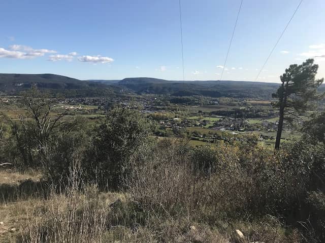 picture look up - Image 1