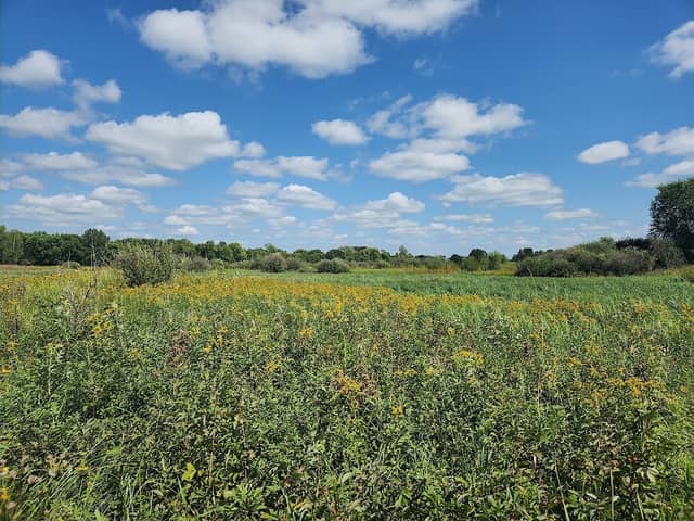 Sunrise Nature Park - Image 2