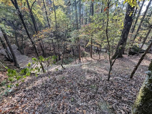 Red Lick MTB Trailhead - Image 1