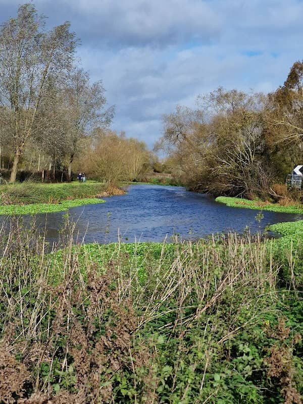 Lower Moor Nature Reserve (Cossington Meadows) - Image 1