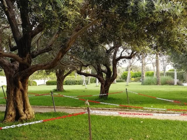Wagon Park - Image 1