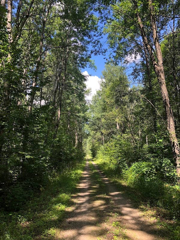Betsie Valley Trail - Image 1