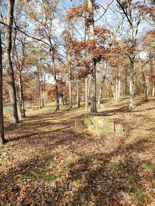 Clark State Forest - Image 1