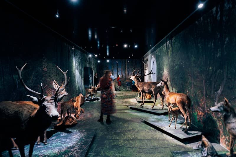 Valais Nature Museum - Image 1
