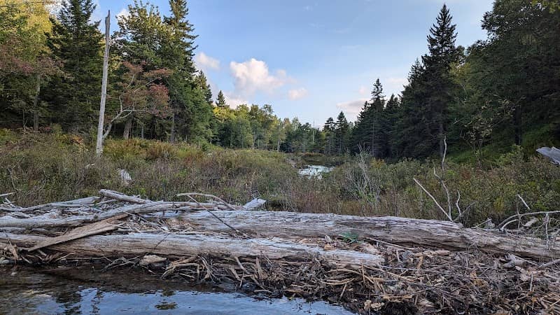 Halfmile Pond - Image 2