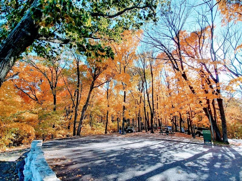 Riverview Park - Image 3