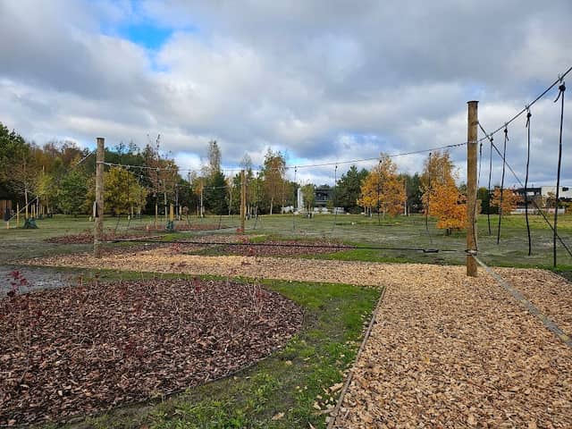 Viimsi Tammede Park - Image 2
