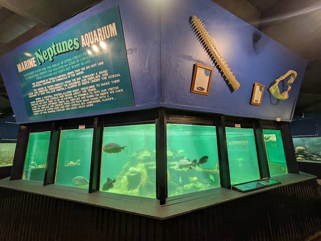 Reef World Aquarium - Image 3