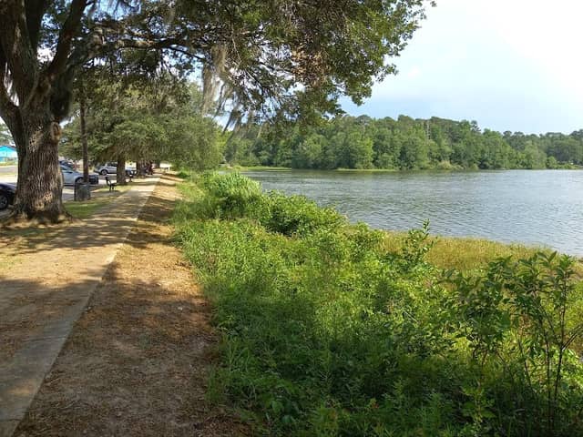 Waynesboro Pond Park - Image 2