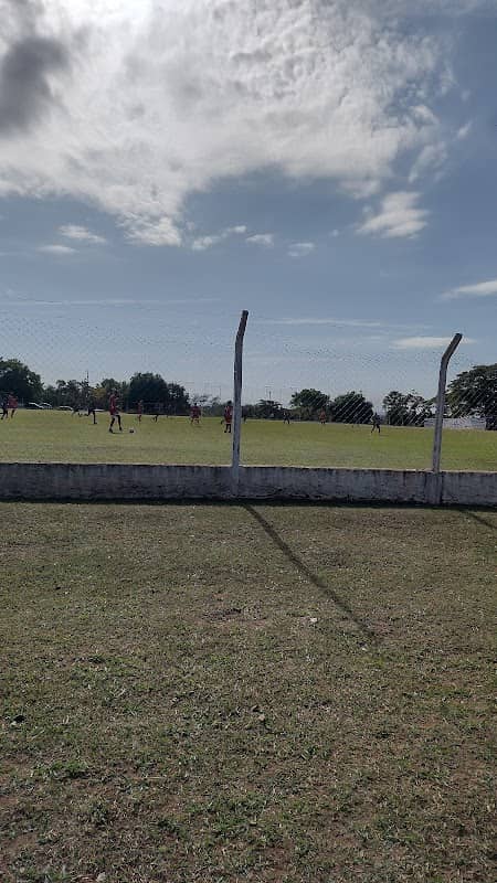 Football field - Image 1