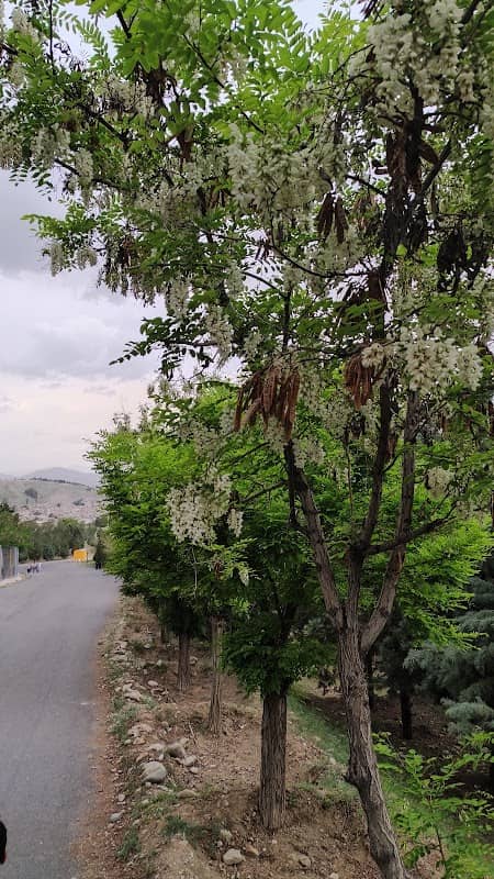 Eco Park - Image 1