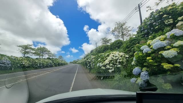 Scenic Roadway - Image 3