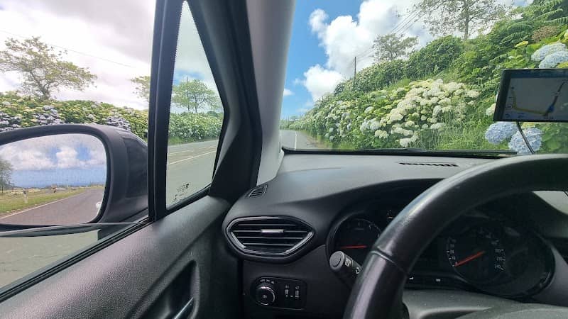 Scenic Roadway - Image 1