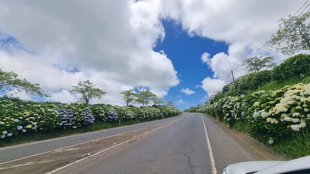Scenic Roadway - Image 2