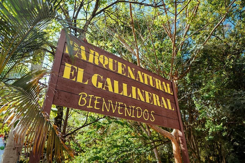 El Gallineral Natural Park - Image 1