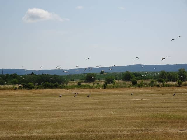 Moravské lúky - Image 1
