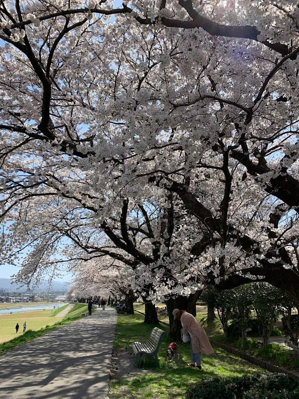 犀川緑地公園 法島地区 - Image 2