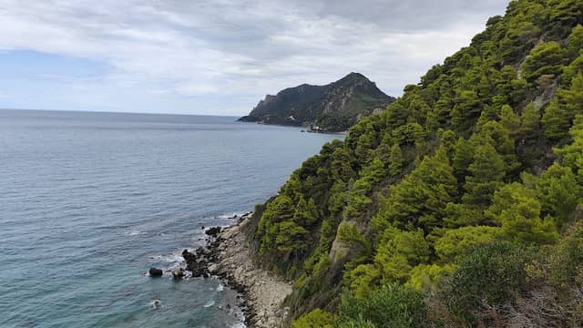 Viewpoint - Image 1