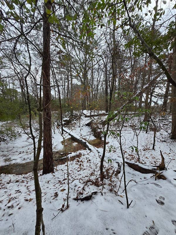 Western Branch Park Trails - Image 2