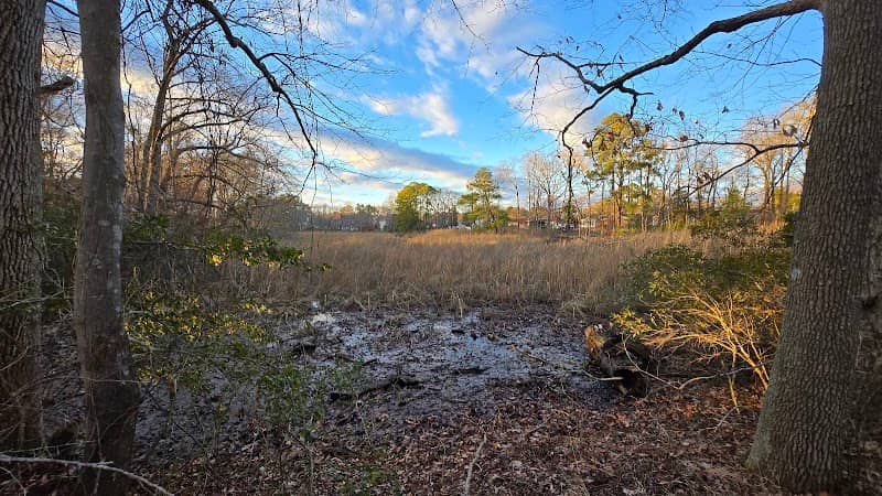 Western Branch Park Trails - Image 1