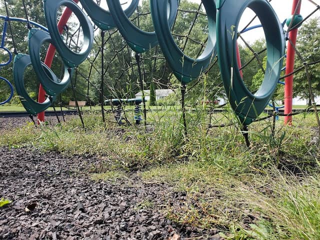 Morgandale Park - Image 2