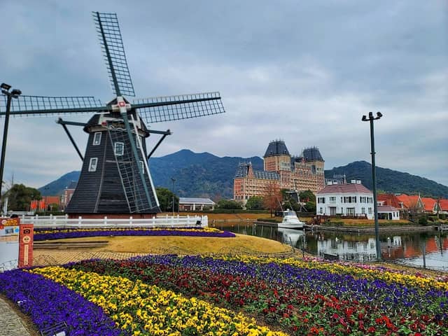 Flower Road - Image 1