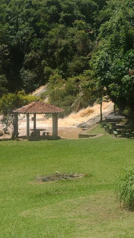 RADICAIS NATUREZA - Image 2